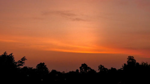 Low angle view of silhouette trees against orange sky