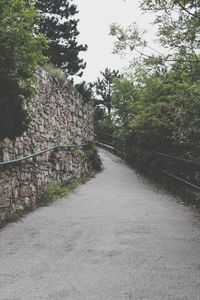 Footpath amidst trees