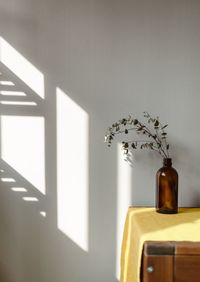 Plants in bottle on table against wall