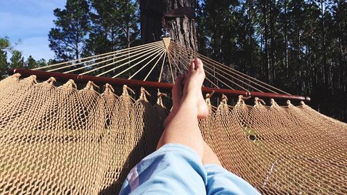 Low section of person relaxing in hammock against trees on sunny day