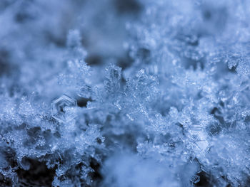 Close-up of snowflakes