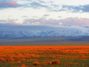 Scenic view of landscape against cloudy sky