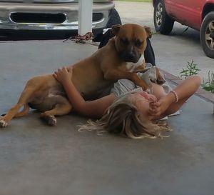 Dog sitting on floor