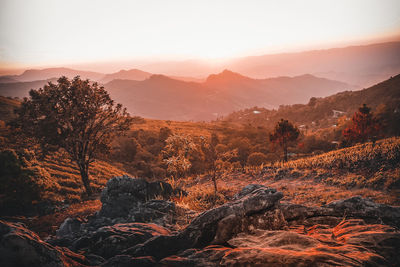 Scenic view of landscape against sky during sunset