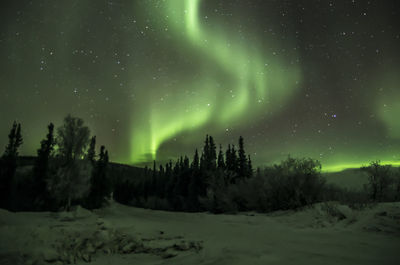 Scenic view of snow covered trees against sky at night