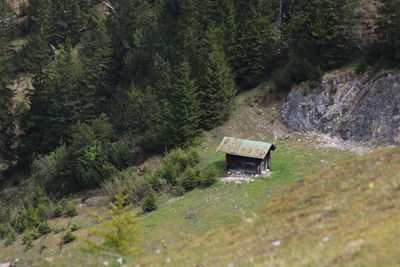 Built structure on land by trees in forest