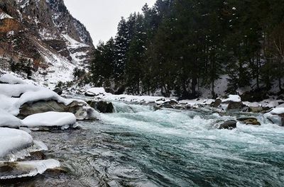 Stream flowing through rocks