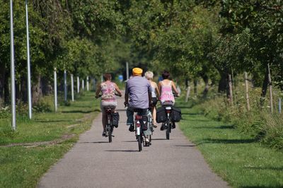 Rear view of people cycling on road amidst trees