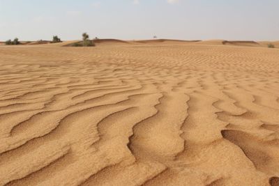 Sand dunes in desert against sky