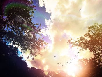 Low angle view of silhouette birds flying against sky during sunset