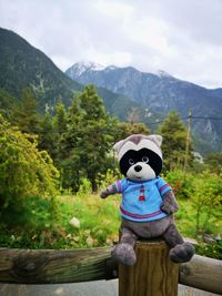High angle view of trees on mountain against sky with qutie raccoon toy