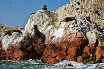 Rock formations in sea