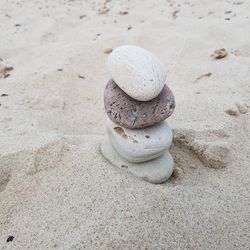 Close-up of seashell on sand at beach