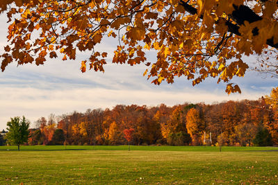 Trees on field against sky during autumn