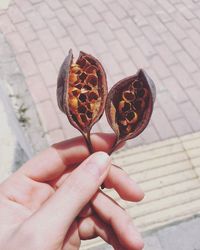 Close-up of hand holding ice cream