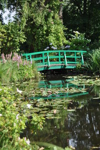 Bridge over lake against trees