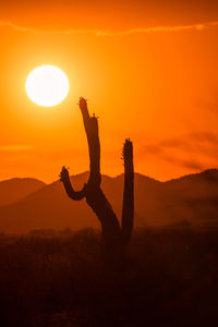 Silhouette man with arms outstretched against sky during sunset