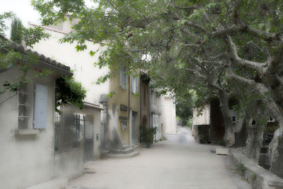 Alley amidst houses and trees in city