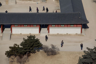 People walking in park