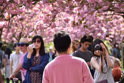 Rear view of people photographing on flowering tree