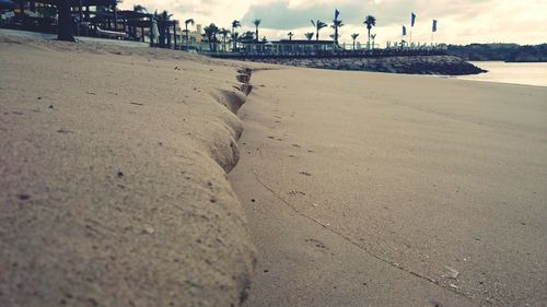 Scenic view of beach