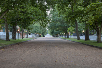 Empty road amidst trees