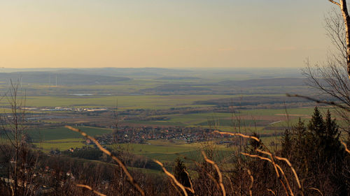 Scenic view of agricultural field against clear sky during sunset