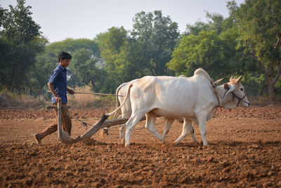 Man standing on field