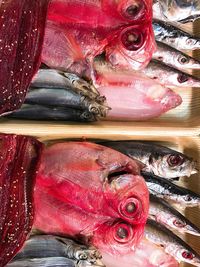 Directly above shot of fish in container for sale at market