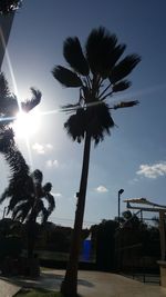 Low angle view of silhouette palm trees against sky