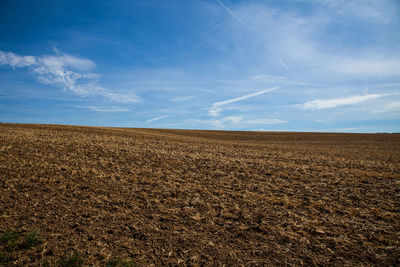 Scenic view of field against sky