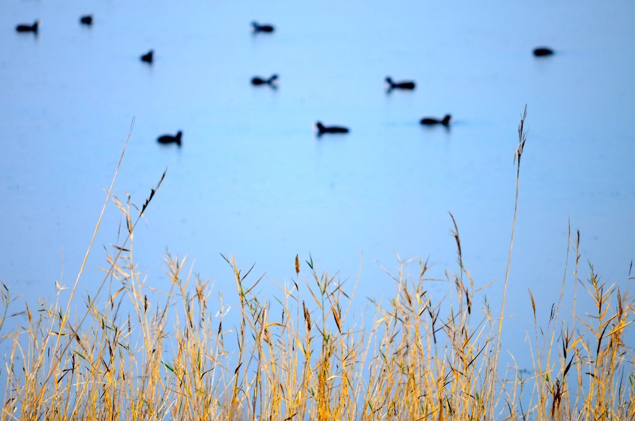 Delta del Ebro