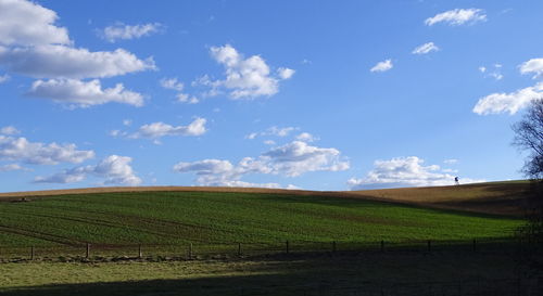 Scenic view of agricultural field against sky