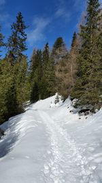 Scenic view of snow covered landscape