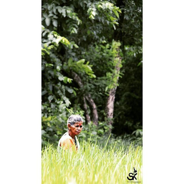 animal themes, animals in the wild, wildlife, one animal, grass, bird, transfer print, field, tree, grassy, auto post production filter, green color, two animals, full length, nature, mammal, growth, plant, day, side view