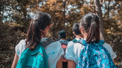 Rear view of women in forest