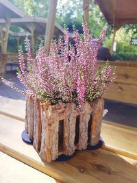 Close-up of potted plant on table