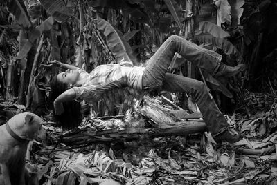 Close-up of tree stump