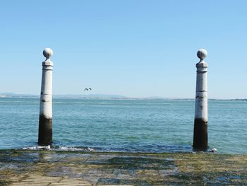 Seagull perching on wooden post by sea against clear sky