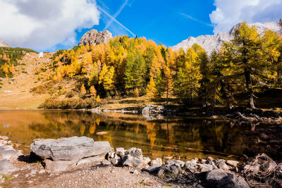 Scenic view of lake by trees against sky