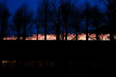 Silhouette trees against sky at night