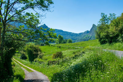 Auvergne volcanic landscape