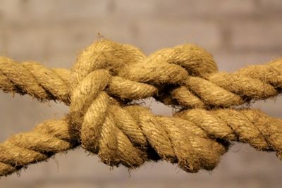 Close-up of rope tied up