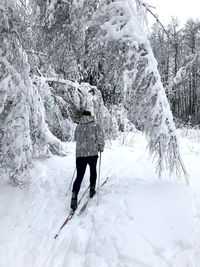 Man is skiing in snow forest 