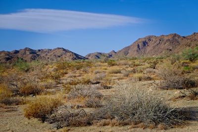 Scenic view of mountains against blue sky