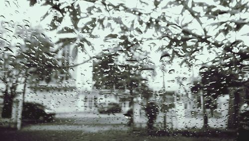 Rain drops on glass