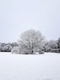 Bare tree on snow covered field against clear sky