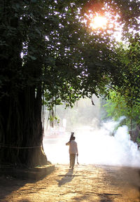 Rear view of man walking amidst trees