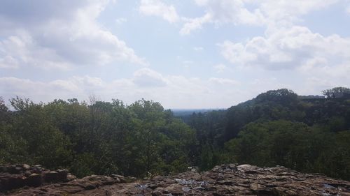 Scenic view of forest against sky