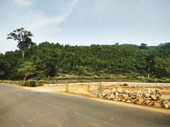 Road by trees against sky